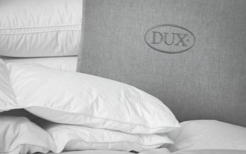 Couette DUX excellent mi-légère